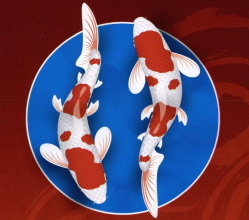 Menus Of Texas - Ace Chinese Restaurant