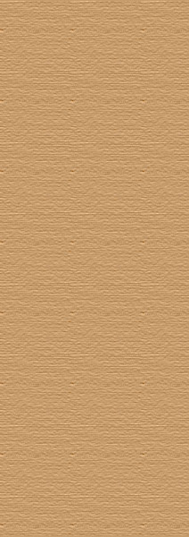 Menus of Texas - Rancho Grande Bar & Grill